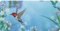 Hummingbird Airbrush License Plate