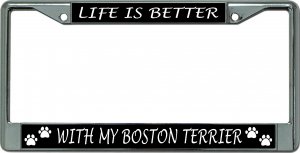Life Is Better With My Boston Terrier Chrome License Plate Frame