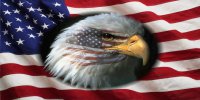 U.S. Flag Eagle Head With American Flag Photo License Plate