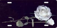 White Roses on Black Airbrush License Plate