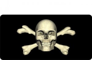 Skull and Crossbones Photo License Plate