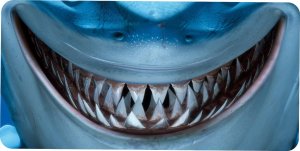 Shark Teeth Photo License Plate