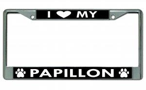 I Heart My Papillon Dog Chrome License Plate Frame