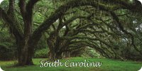 South Carolina Scenery Photo License Plate