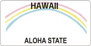 Design It Yourself Custom Hawaii State Look-Alike Plate #2