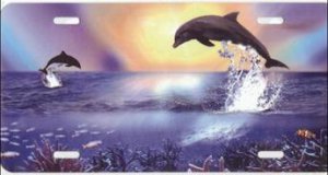 Dolphins Jumping Airbrush License Plate