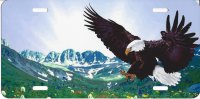 Eagle Landing Offset Airbrush License Plate