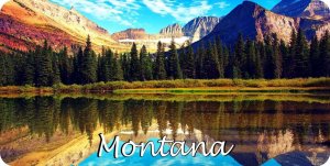 Montana Mountain Reflection Scene Photo License Plate