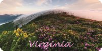 Virginia Scenery Photo License Plate