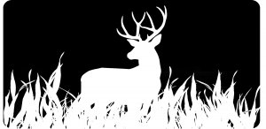 Deer Black And White Photo License Plate