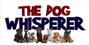 The Dog Whisperer Photo License Plate