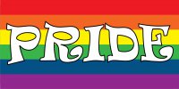 Pride Gay Pride Flag Photo License Plate