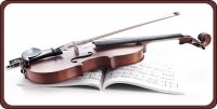 Violin And Music Book Photo License Plate