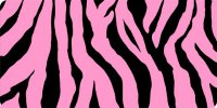 Pink Zebra Print Photo License Plate