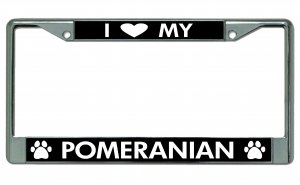 I Love My Pomeranian Chrome License Plate Frame