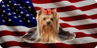 Yorkshire Terrier On Wavy American Flag Photo License Plate