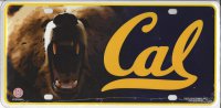 California Berkeley Bear License Plate