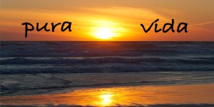 Pura Vida Beach Scene Photo License Plate