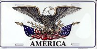 Eagle on American Flag with America License Plate
