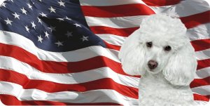 Poodle On U.S. Flag Photo License Plate