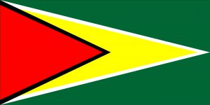 Guyana Flag Photo License Plate