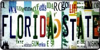 Florida State Strip Art Metal License Plate
