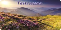 Tennessee Scenery Photo License Plate
