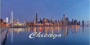 Chicago Skyline Photo License Plate