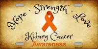 Kidney Cancer Ribbon Metal License Plate
