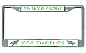 I'm Wild About Sea Turtles Chrome License Plate Frame