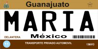 Mexico Guanajuato Photo License Plate