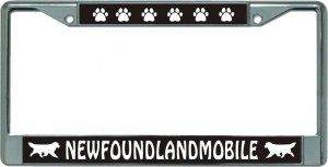 Newfoundlandmobile Chrome License Plate Frame
