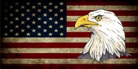 U.S. Flag Worn With Eagle Photo License Plate