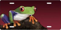 Frog on Burgundy Airbrush License Plate