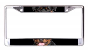 Rottweiler Face Chrome License Plate Frame