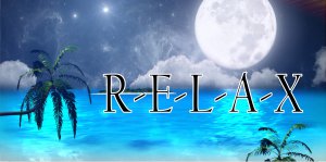 Relax Moonlight Ocean Scene Photo License Plate