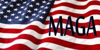 MAGA On United States Flag Photo License Plate