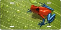 Dart Frog on Leaf Airbrush License Plate