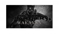 Black Panther Wakanda Photo License Plate