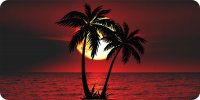 Red Moon Palm Tree Photo License Plate