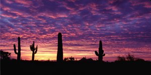 Arizona Sunset Pink And Azure Photo License Plate