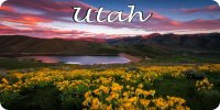 Utah Mountain Scene Photo License Plate