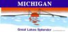 Michigan License Plates & Frames