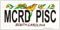 Design It Yourself Custom S. Carolina State Look-Alike Plate #2