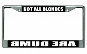 Not All Blondes Are Dumb Photo License Plate Frame