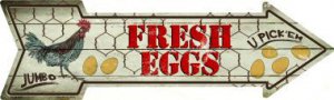 Fresh Eggs Metal Arrow Street Sign