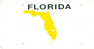 Design It Yourself Custom Florida State Look-Alike Plate #6