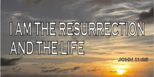 Resurrection And Life Photo License Plate