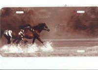 Horses Running on Beach License Plate
