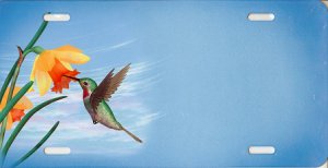 Offset Hummingbird with Sunflower License Plate